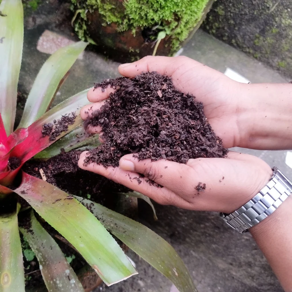 organic compost 2 webp