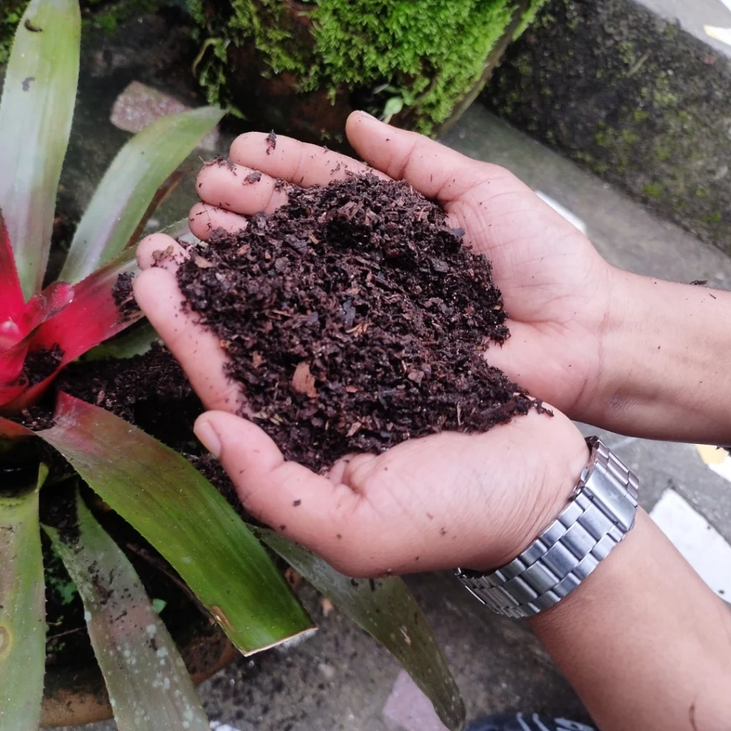 organic compost 3 webp