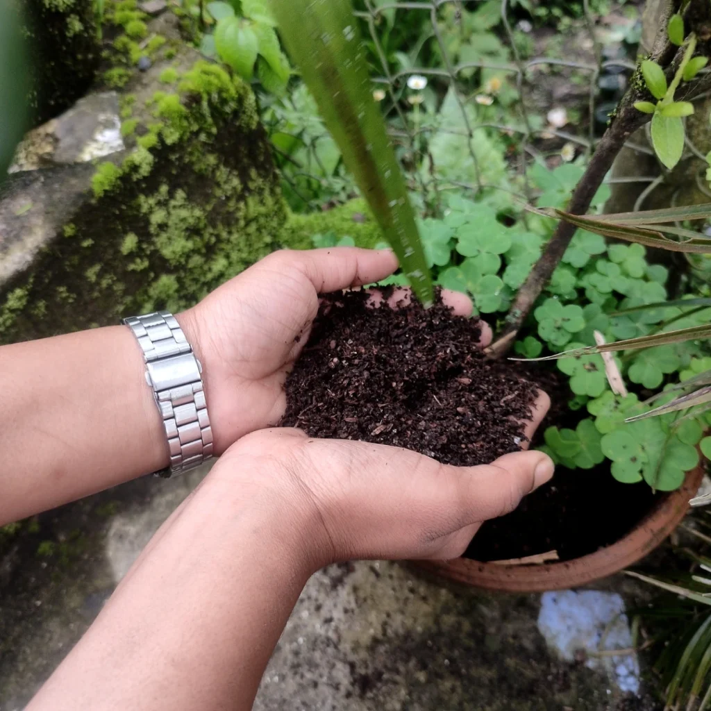 organic compost webp